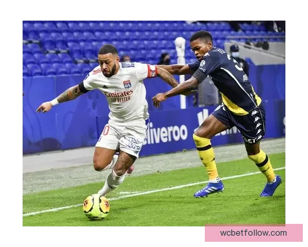 聚焦2026世界杯排名格局变化与豪强黑马实力全面前瞻解析深度