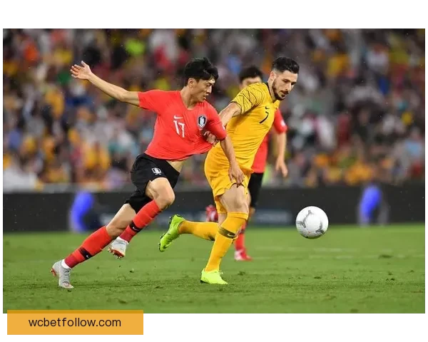 世界杯赛事全解析与投注技巧指南助你精准掌握胜负走势